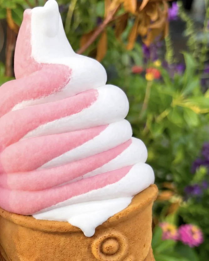 A real taiyaki cone with strawberry soft serve, held in front of a garden